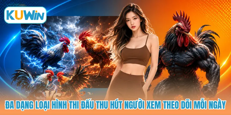 Đa dạng loại hình thi đấu thu hút người xem theo dõi mỗi ngày