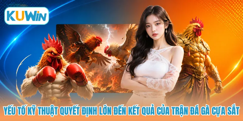 Yếu tố kỹ thuật quyết định lớn đến kết quả của trận đá gà cựa sắt